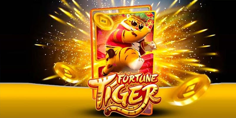 Quem é o Fortune Tiger 538betbet.Com